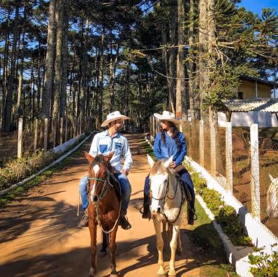 CAVALOS NA MONTANHA