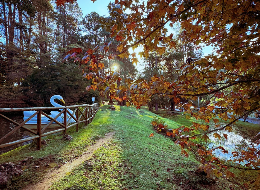 Parque Estadual